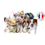 Actu nouvelle recettes