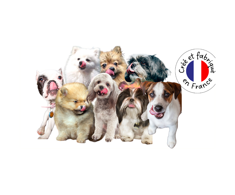 Actu nouvelle recettes